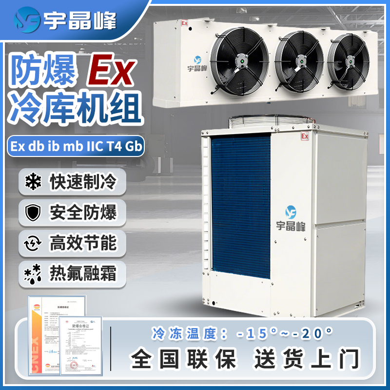 防爆冷库机组13匹（双膨胀阀冷冻款）